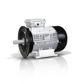 Motor electric trifazat 55kw 750rpm 315 B5