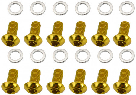 Quaxar Torx set 12buc. - suruburi disc - auriu