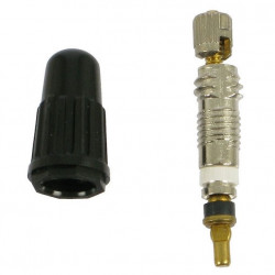 Continental presta valva + cap valva