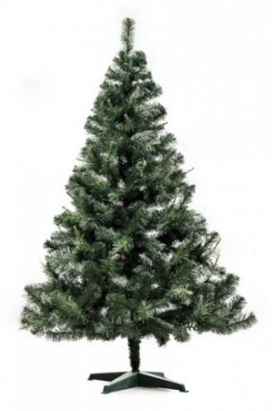 Aljaska Novogodišnja jelka 250 cm