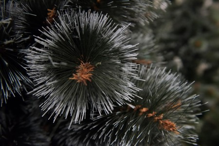 BOR - novogodišnja jelka sa belim vrhovima 120 cm