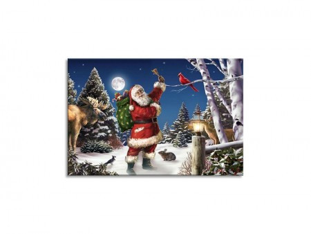Panel, blind ram, Deda Mraz, LED, 30x40cm ( 740011 )