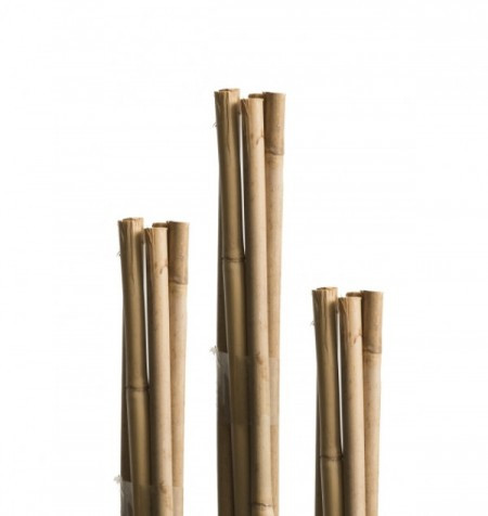 Windhager bambus štap 5 kom ( WH 05608 )