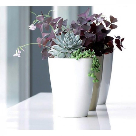 Prosperplast saksija coubi 13x13x17cm bela ( PR DUKO130-S449 )