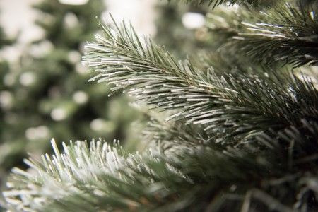 Sofija - Novogodišnja jelka sa belim vrhovima 120 cm