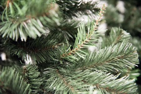Aljaska Novogodišnja jelka 220 cm
