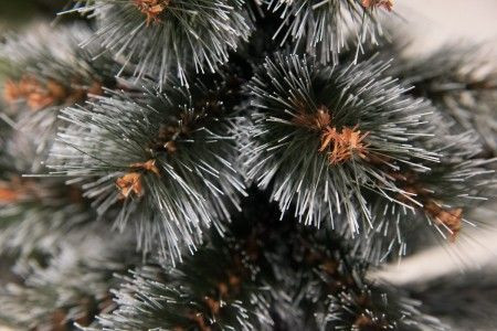 BOR - novogodišnja jelka sa belim vrhovima 120 cm