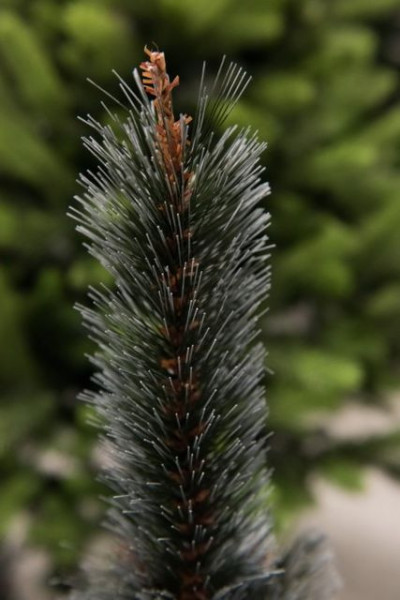 BOR - novogodišnja jelka sa belim vrhovima 120 cm