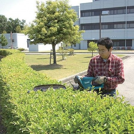 Makita Električne makaze za živu ogradu Uh6570