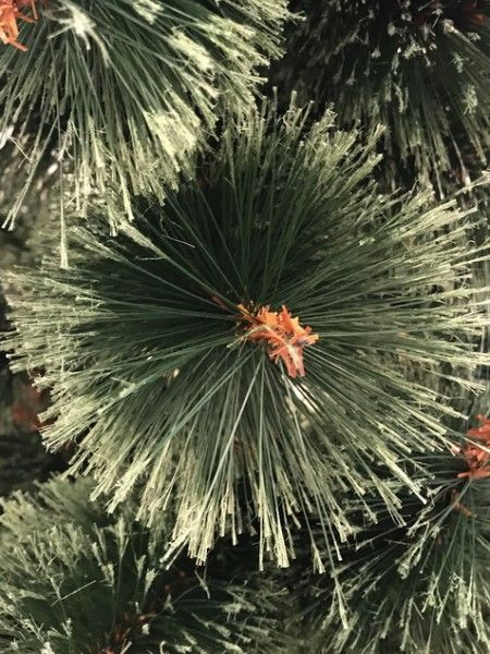 BOR - novogodišnja jelka sa podeljenim vrhovima 220 cm