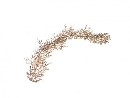 Sprig, novogodišnja grana,bela, 150cm ( 780651 )