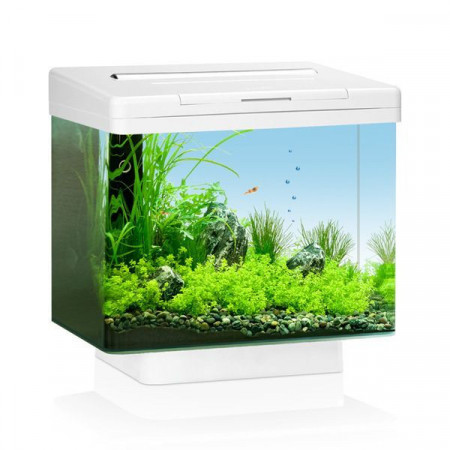 Juwel Vio 40 white akvarijum ( JU20044 )