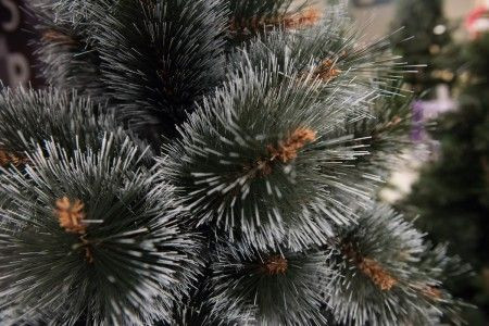 BOR - novogodišnja jelka sa belim vrhovima 120 cm