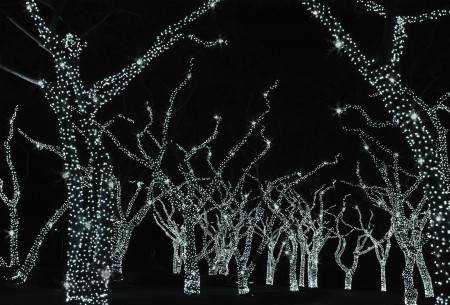 LED iskra svetleći niz 80 kom hladno bela i 20 kom hladno bela ( KDK 212 )