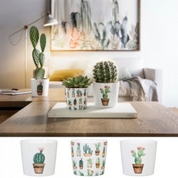Scheurich Saksija 870/07 cacti, carla, carlos ( SH 61877 )