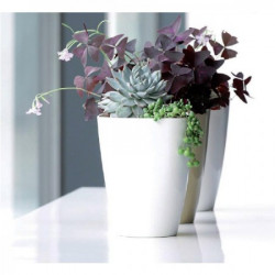 Prosperplast saksija coubi 13x13x17cm bela ( PR DUKO130-S449 )