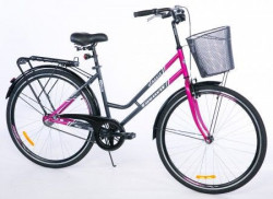 CITY Bicikla Classic 28" siva/ciklama ( 460096 )