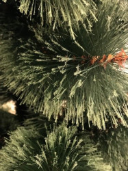 BOR - novogodišnja jelka sa podeljenim vrhovima 220 cm