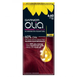Garnier Olia boja za kosu 6.60/6. ( 1003000433 )