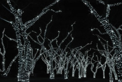 LED iskra svetleći niz 80 kom hladno bela i 20 kom hladno bela ( KDK 212 )