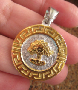 Medalion INOX ( otel inoxidabil ) cod mihasem349