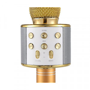 MICROFON PROFESIONAL KARAOKE SMART AURIU CU BLUETOOTH