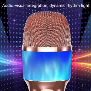 Microfon KARAOKE Bluetooth Q99 Wireless