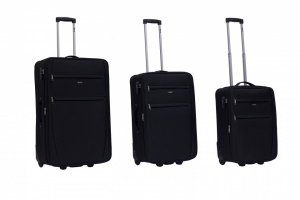 SET TROLLEY 2 RUOTE RAVIZZONI LINEA ZEUS