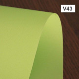 Lamele pentru jaluzele verticale EDEN V43-49