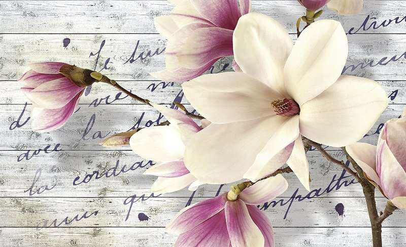 Papiers peints floraux pour un design d’intérieur unique