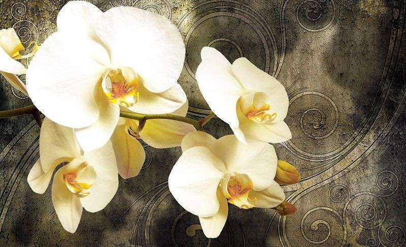 Poster - Orchidées jaunes - 2948