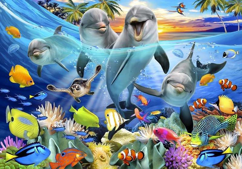 Poster de la vie des animaux sous l'océan, dauphins - 12851