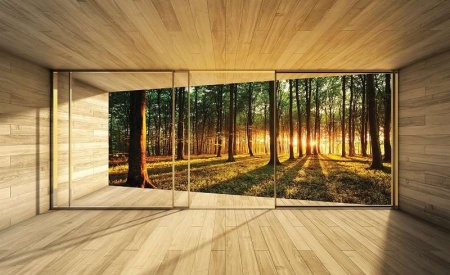 Papier peint 3D de forêt en terrasse - 3307
