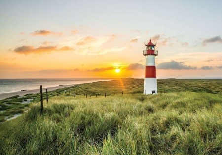 Papier peint vert - Phare dans un endroit solitaire - 11678