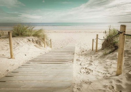 Papier peint - Chemin vers la plage de sable fin - 11597