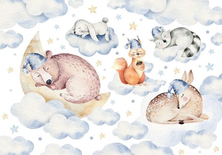 Papier peint d'animaux pour chambre d'enfants - Dormir dans les nuages - 13671