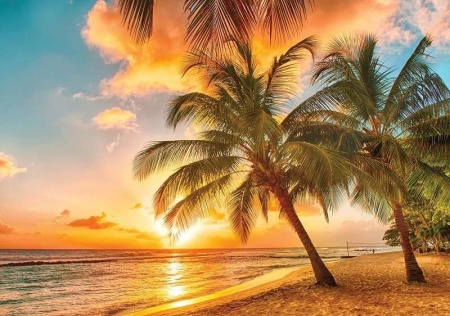 Papier peint détente, Palmiers sur la plage au coucher du soleil - 3393