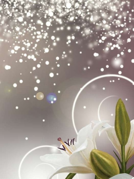 Poster de pollen sur les fleurs - 3055A