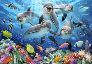 Papier peint pour enfants - Dauphins souriants - 12849