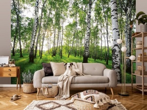 Poster Mural - 14175