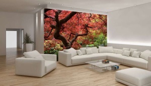 Poster - Arbre d'automne dans un jardin de lac - 270