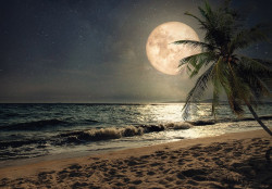 Papier peint pleine lune sur la plage