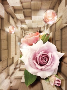 Poster floral tendre avec accents roses - 3357A