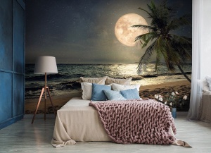 Poster Mural - 13999