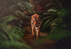 Poster Mural - 14423