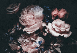 Papier peint - Bouquet de roses et de renoncules - 13525