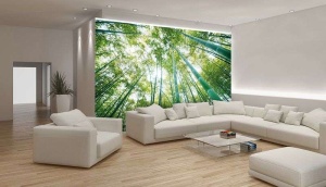 Poster d'art de forêt de bambou - 150