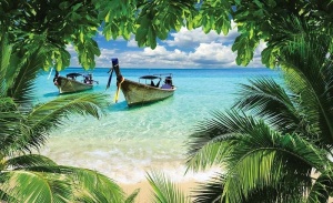 Bateaux de pêcheurs sur une plage tropicale - 225