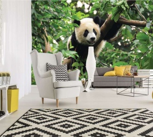 Papier peint de panda - 10238