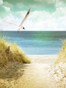 Papier peint - Plage et dune de sable - 11595A